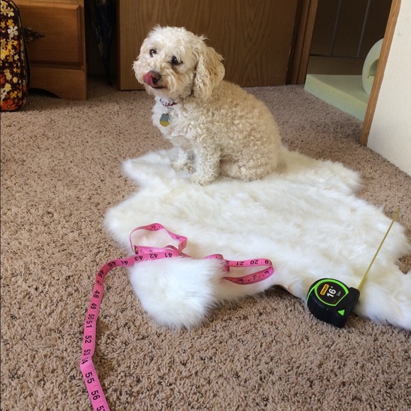 Meet Posher/Stats - Picture 5 of 5